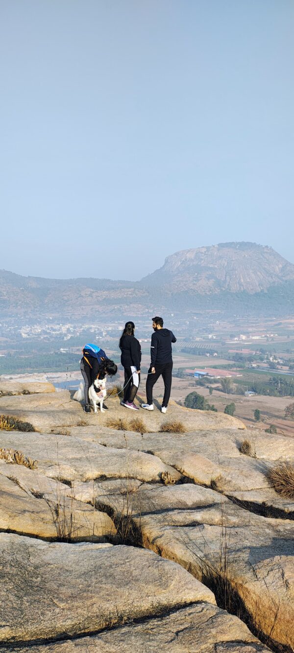 Nature explorers trek - Image 3