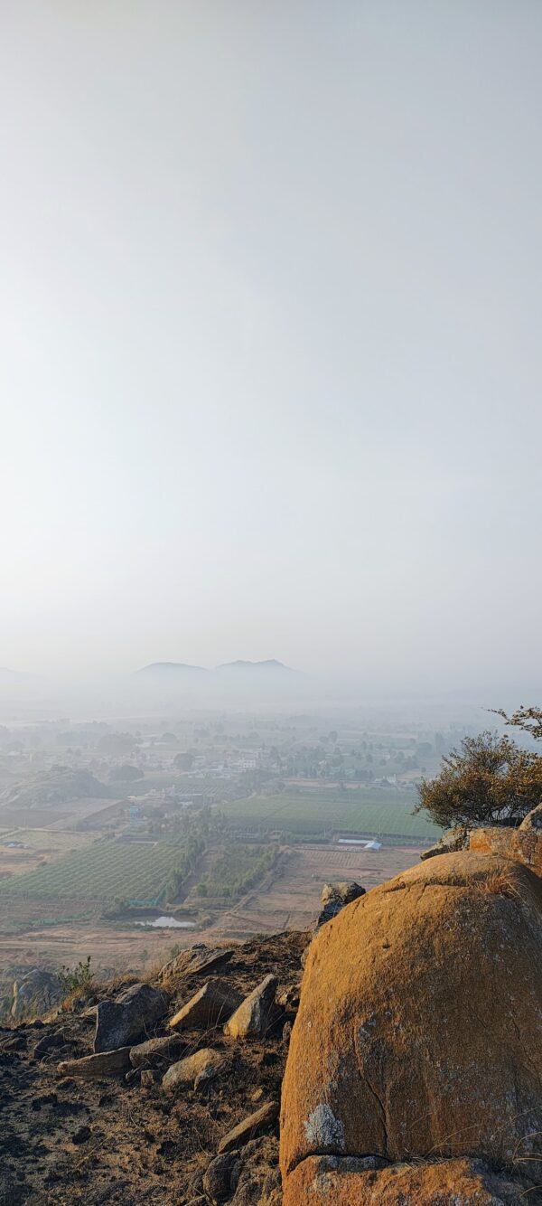 Nature explorers trek - Image 2