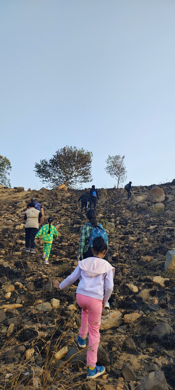 Nature Explorer Trek - Image 2