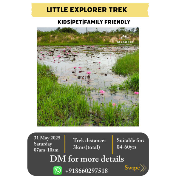 Little explorer trek