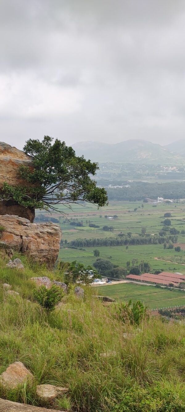 Moderate trek - Image 8