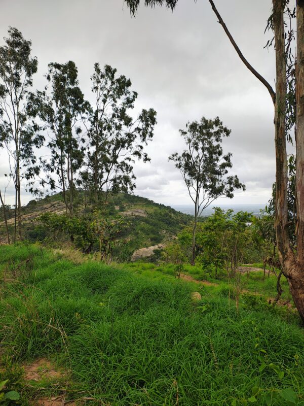 DB hill monsoon trek - Image 5