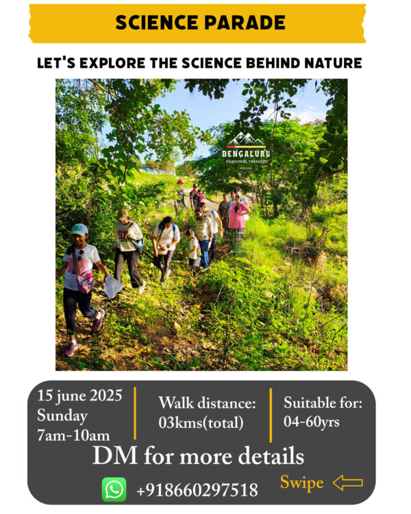 Science parade(private event) - Image 2