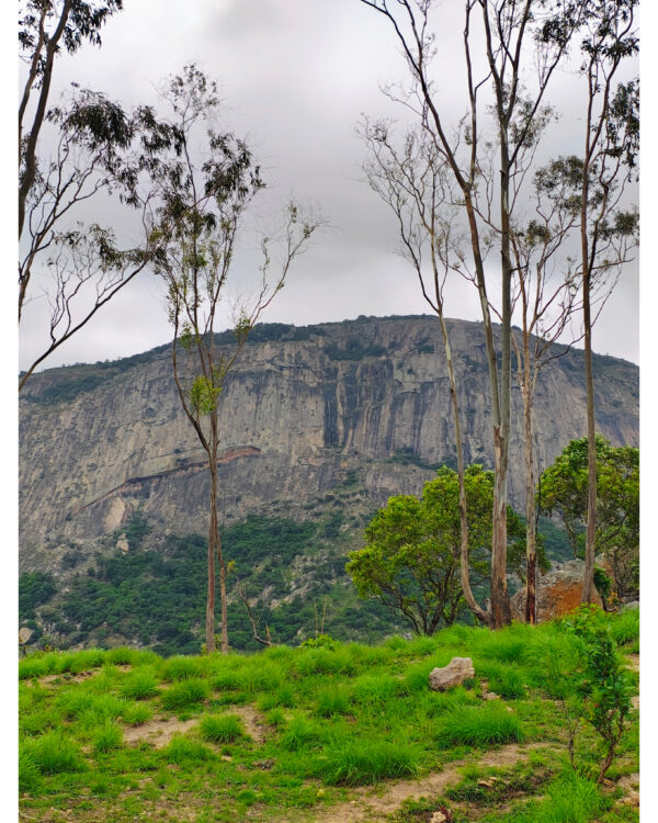 DB hill monsoon trek - Image 3