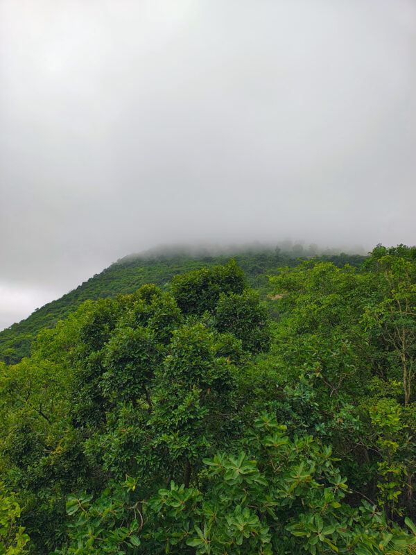BG hill monsoon trek - Image 2