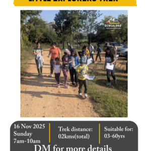 Little explorers trek