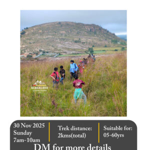 Little explorers trek